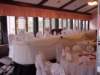 dsc00023_small.jpg